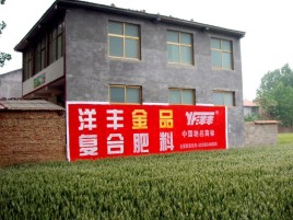 富川如何让墙体广告展现最大化效果
