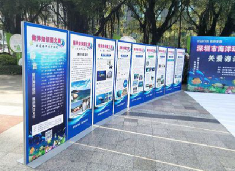 富川KT板的种类和知识。